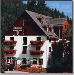 Landhotel Osterlamm Beierfeld Extérieur photo